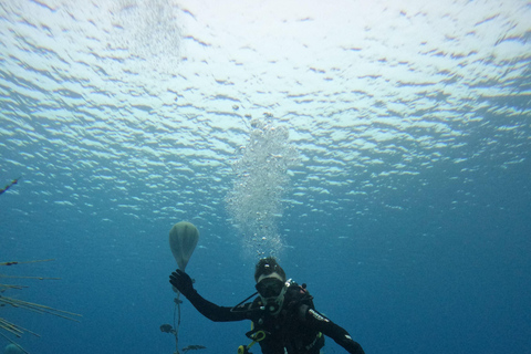 Ayia Napa: MUSAN Underwater Museum Beginner Scuba Dive