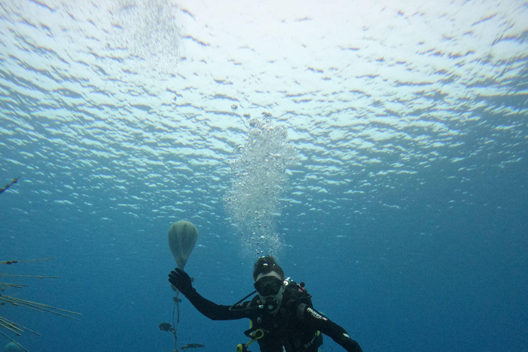 Ayia Napa: MUSAN Underwater Museum Beginner Scuba Dive