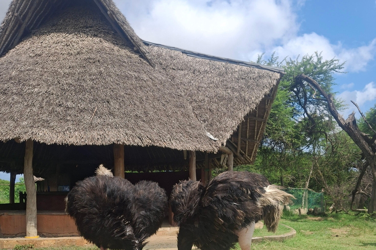 Mombasa: City Tour and Nguuni Nature Sanctuary Day Trip