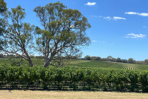 Da Adelaide: Hahndorf e Barossa Valley con pranzo in cantina