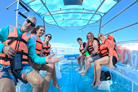 Cozumeltastic: Clear Boat Sightseeing Tour in Cozumel Cozumeltastic: Transparent Boat Tour in Cozumel