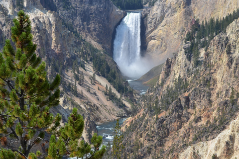 Yellowstone 2 Day Adventure - Upper and Lower Loop Tour