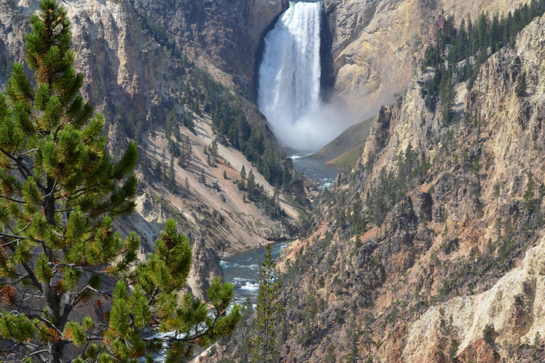 Yellowstone 2 Day Adventure - Upper and Lower Loop Tour