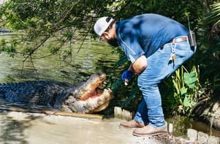 Orlando: Gatorland-Ticket ohne Anstehen