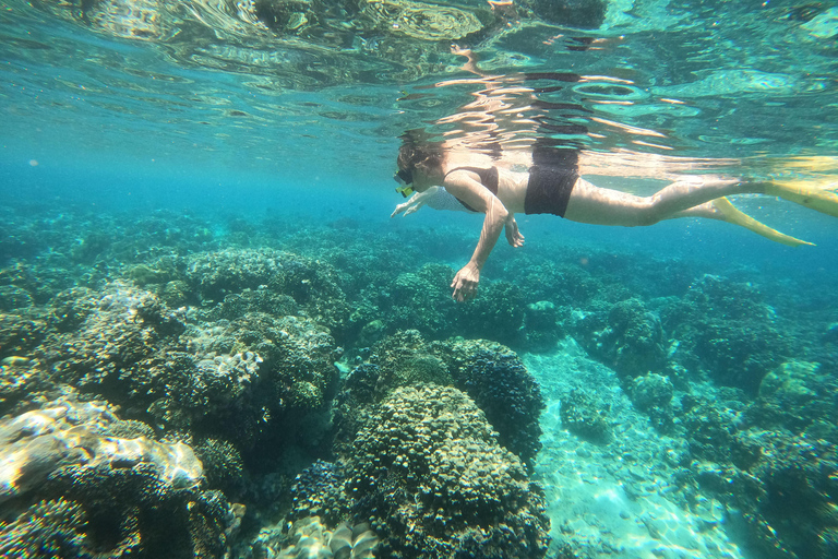 Bali: 2 Spot Snorkeling, The Monkey Bar & Best Waterfalls