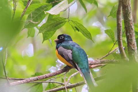 Visite du parc national de Manuel Antonio.