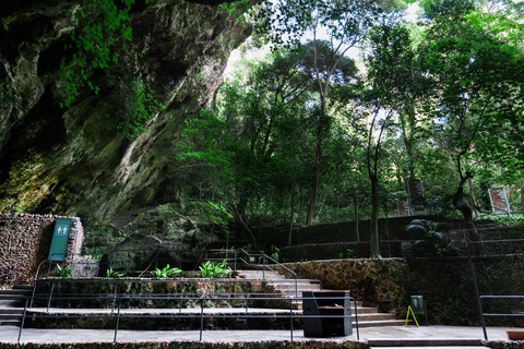 Maiorca: Escursione alle grotte di Drach, al lago Martel e alla fabbrica di perleTour di mezza giornata