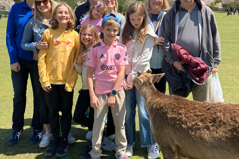 From Osaka/Kobe Port: Nara Private Tour with Guide & Driver Private Nara Tour for Maximum 5 Travelers in the Group