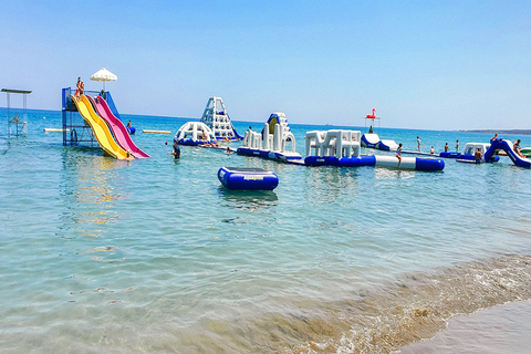 Limassol Beach Day from Paphos: Sea Park & Aphrodite’s Rock