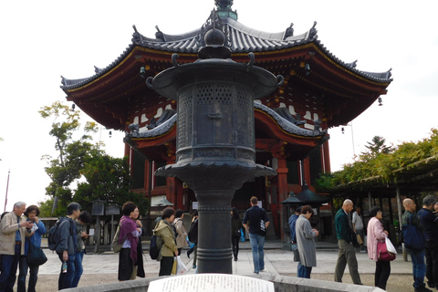 Kyoto: Nara, Todaiji, Santuário Kasuga Taisha Dia inteiro privativoTour particular com ponto de encontro em Kyoto