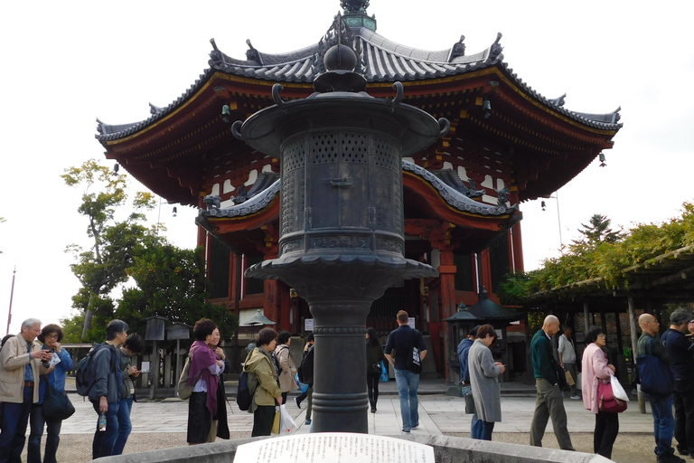 Kioto: Nara, Todaiji, Santuario Kasuga Taisha Día Completo PrivadoTour privado con punto de encuentro en Kioto