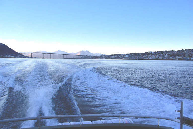 Safari marino a Tromsø