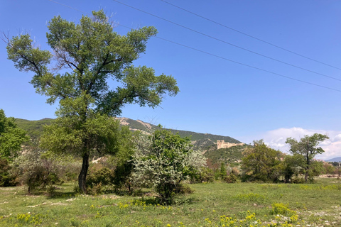 Från Tbilisi: Rundvandring i Mtskheta längs floden Aragvi