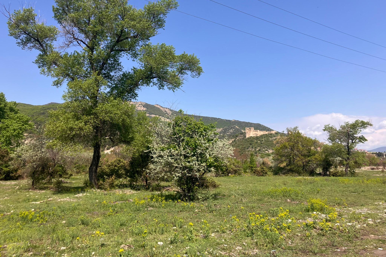 Från Tbilisi: Rundvandring i Mtskheta längs floden Aragvi