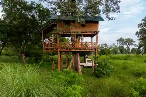 Bardiya National Park: Treehouse Stay with Wildlife Safari
