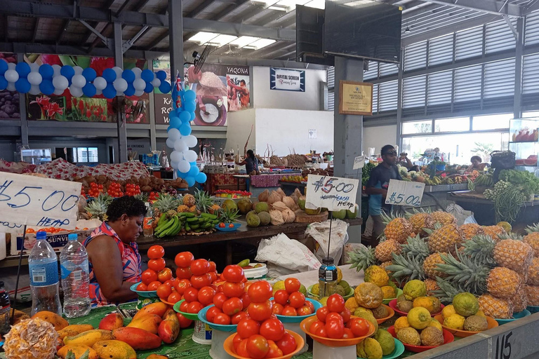 Fiji: Nadi Culture & Wellness Tour with Mud Pools & Garden Nadi Culture & Wellness Tour - Pick Up InterContinental