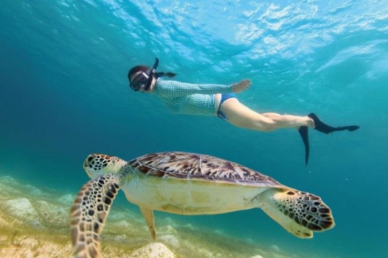 Cancun: Tulum, Cenote and Akumal - Swimming with Turtles
