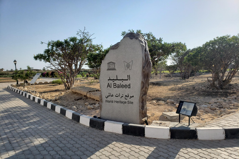 Visite de la ville de Salalah : Aventure d&#039;une demi-journée