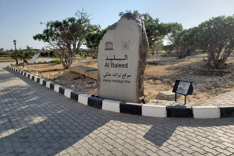 Visite de la ville de Salalah : Aventure d&#039;une demi-journée