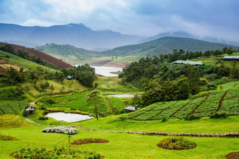 From Bangalore: 7 Days Coorg & Hassan Heritage Private Tour