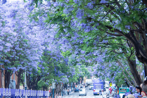 6-Day Authentic Yunnan & Heritage Trail Tour