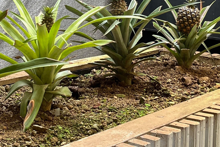 Azores: Sete Cidades Half-Day Tour – Lakes, Volcanoes, and Viewpoints CELEBRITY INFINITY on May 4, 2026