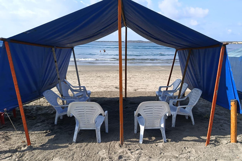 Cartagena: SUN TENT, CHAIRS on Castillogrande beach+LUNCH