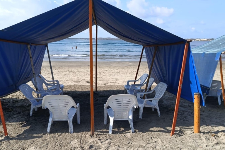 Cartagena: SUN TENT, CHAIRS on Castillogrande beach+LUNCH