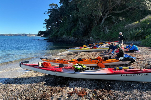 Auckland: Tiritiri Matangi Island Kayak Tour