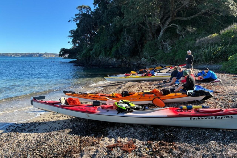 Auckland: Tiritiri Matangi Island Kayak Tour