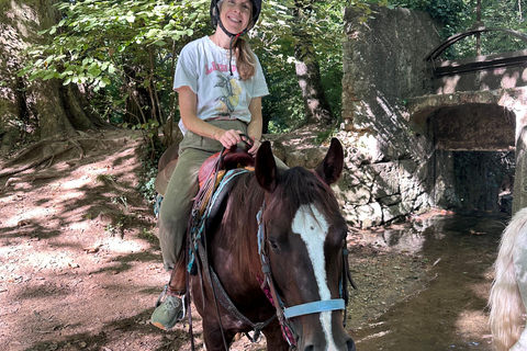 Provence: 2-hour Western horseback riding tour, refreshing break in the river Provence: 2-Hour Western Horseback Riding Tour, Refreshing Break in the River