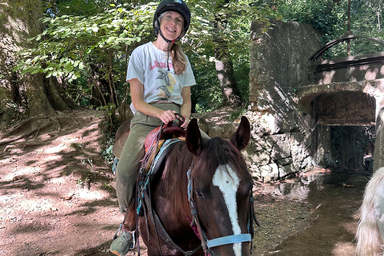 Provence: 2-hour Western horseback riding tour, refreshing break in the river Provence: 2-Hour Western Horseback Riding Tour, Refreshing Break in the River