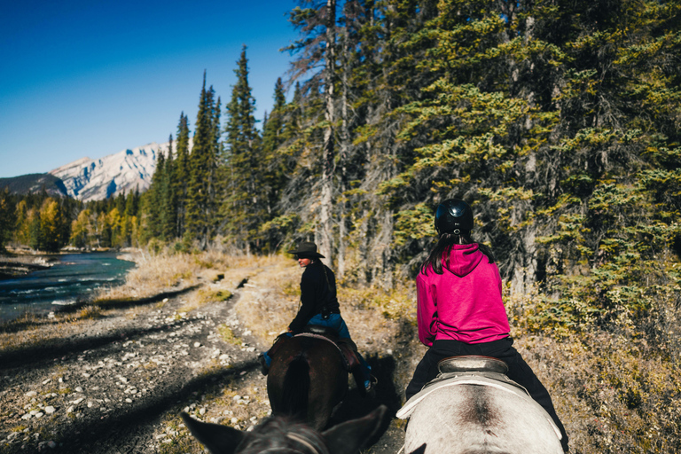Lake Tegernsee: Relaxing Horseback Riding Tour