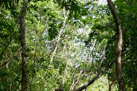 Santuario de My Son y Senderismo de Montaña - PeregrinaciónMi hijo Santuario Viaje de madrugada