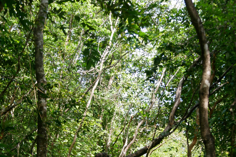 Santuario de My Son y Senderismo de Montaña - PeregrinaciónMi hijo Santuario Viaje de madrugada