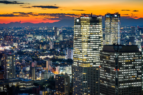 Tokyo City Tour: Private Full-Day Tour with Hotel Pickup Comfortable, air-conditioned Vellfire for 1–6 guests-8- Hour