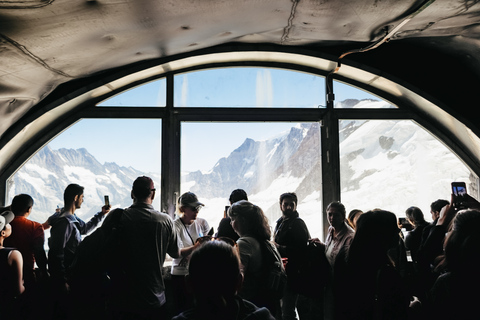 From Zurich: Guided Day Trip to Jungfraujoch with Train Ride