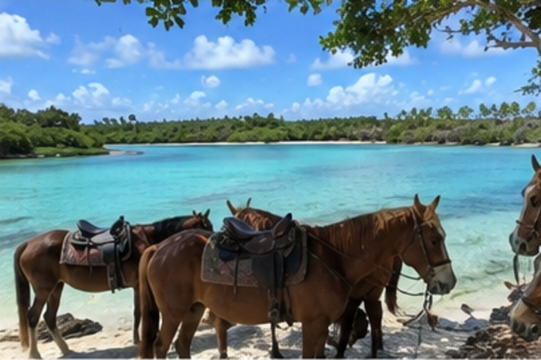Punta Cana: Laguna Beach Tour with Swimming and Snorkeling