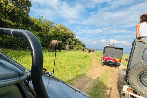Sigiriya: Minneriya Eco-Friendly Elephant Safari with Guide