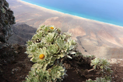 Fuerteventura : Safari Cofete