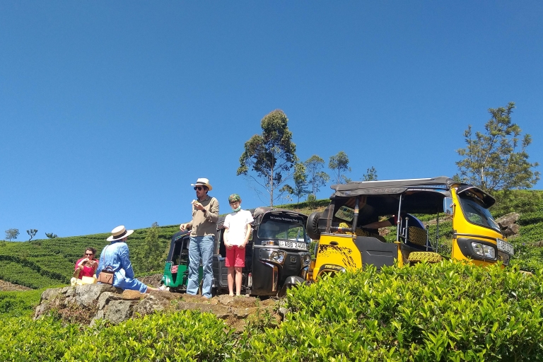 Haputale: excursion d'une journée à la plantation de thé, au safari et au siège de Lipton
