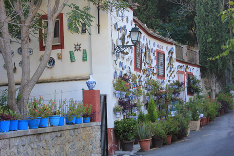 Ab Nerja: Tagestour nach Granada