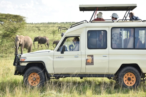 7-dniowe safari Kili Safari Amboseli, Naivasha i Masai Mara
