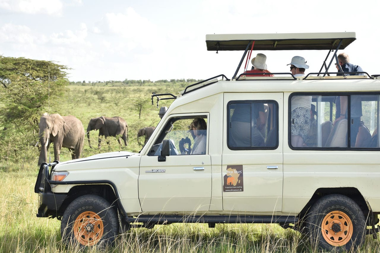 7-dniowe safari Kili Safari Amboseli, Naivasha i Masai Mara