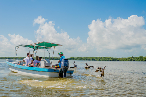 From Valladolid: Rio Lagartos and Ek Balam Day Trip