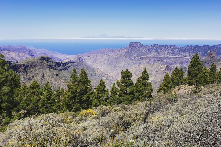Gran Canaria: Roque Nublo Excursion Gran Canaria: a trip to Roque Nublo