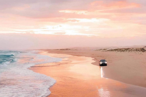 Doha: Inland Sea Desert Safari With All Activities Group: Desert Safari , inland sea , Sandboarding