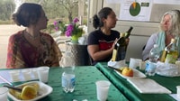 Nuoro, Visitez un moulin à huile avec dégustation d'huile - Hizvo
