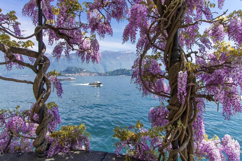 Von Mailand aus: Comer See und Bellagio Tagestour mit Kreuzfahrt Von Mailand aus: ...