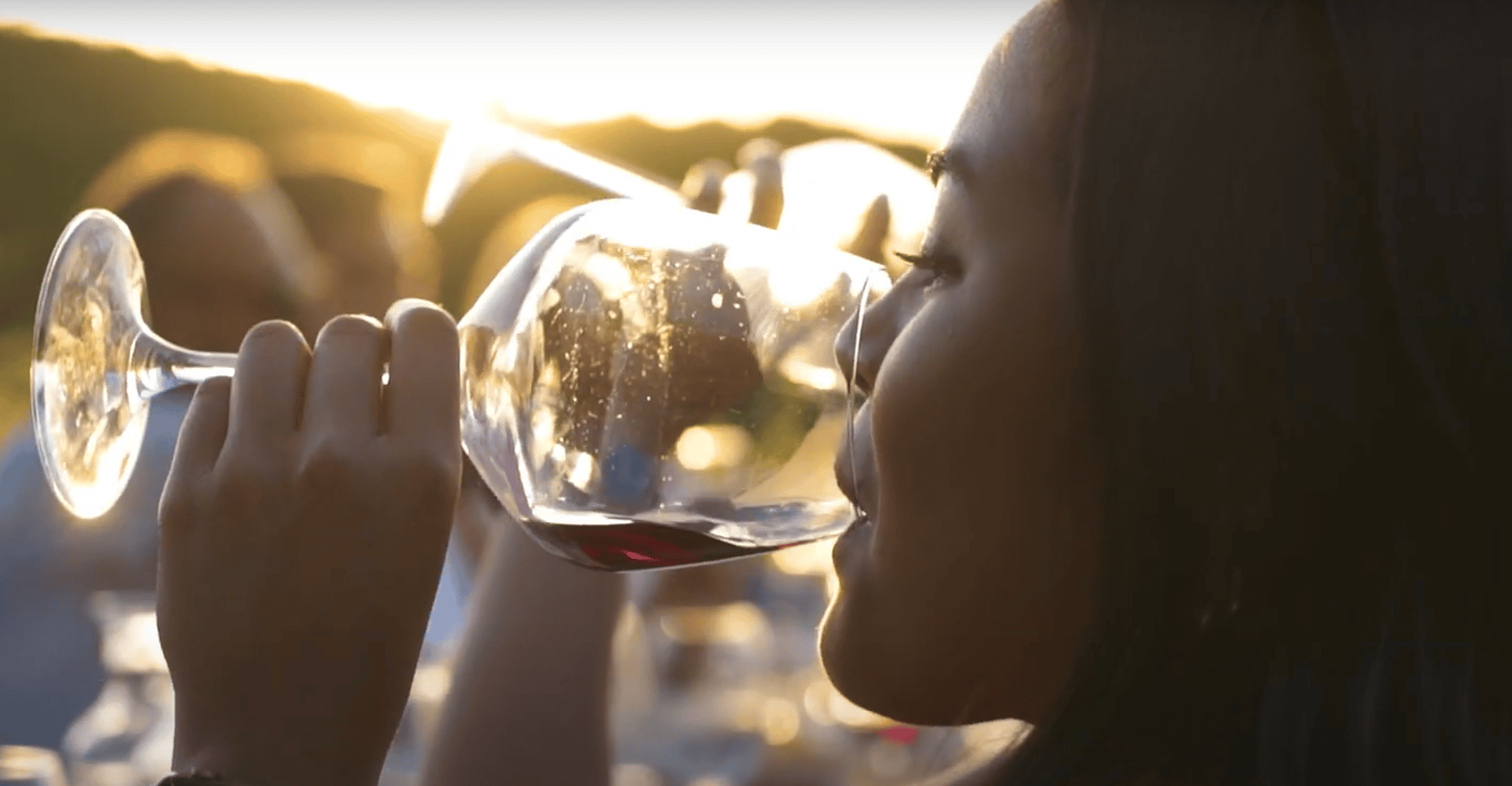 Florence: Chianti Vineyards Tour with Wine Tasting & Dinner photo 8